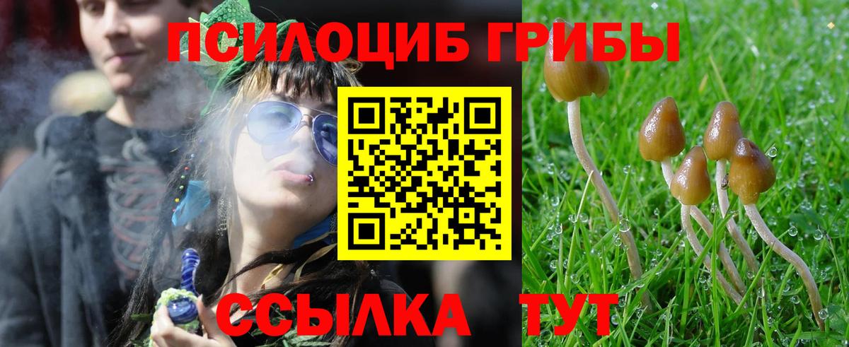 Галлюциногенные грибы прущие грибы Донской